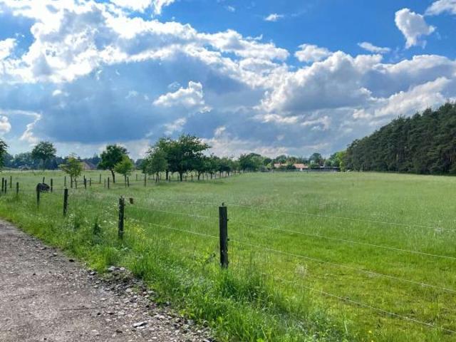 Erdgeschosswohnung kaufen in Schwarmstedt, Niedersachsen