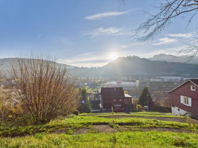 Einfamilienhaus kaufen in Wattwil, St. Gallen