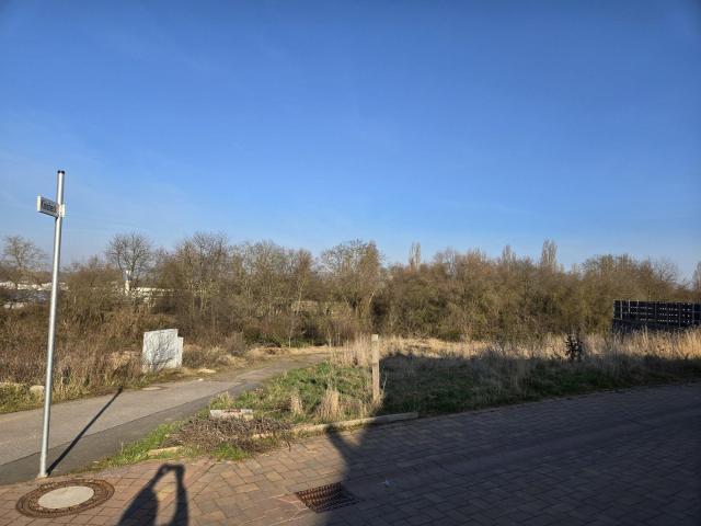 Erdgeschosswohnung mieten in Langenlonsheim, Landkreis Bad Kreuznach