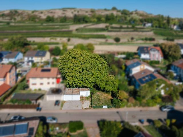Erdgeschosswohnung kaufen in Bötzingen, Landkreis Breisgau-Hochschwarzwald