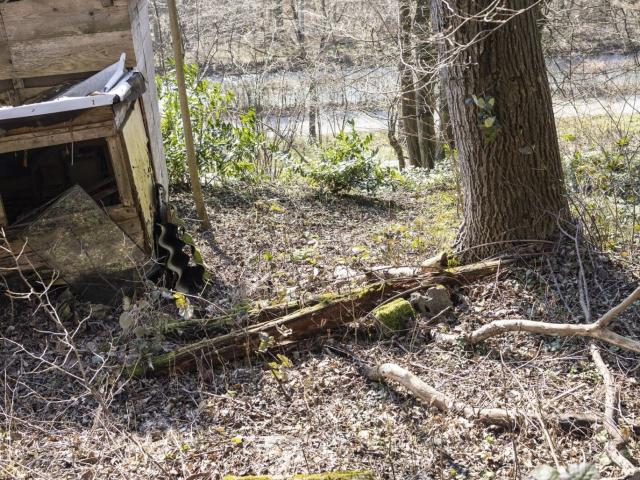 Grundstück kaufen in Kennelbach, Vorarlberg