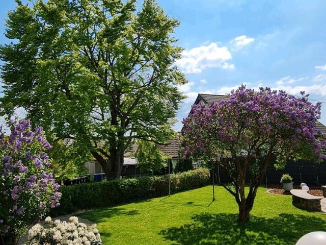 Haus kaufen in Kirchberg, Rheinland-Pfalz
