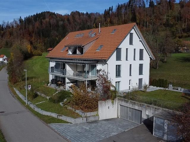 Einfamilienhaus kaufen in Steg im Tösstal, Zürich