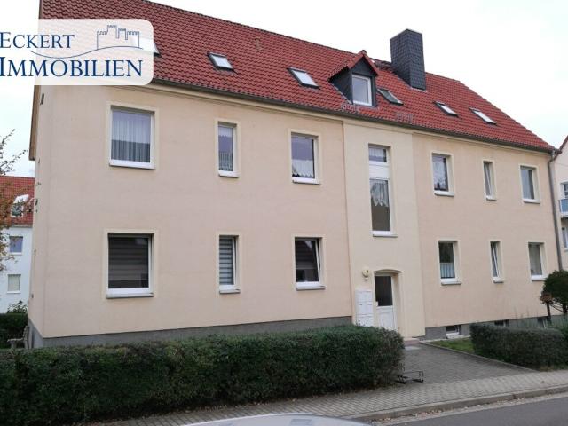 Haus kaufen in Elsteraue