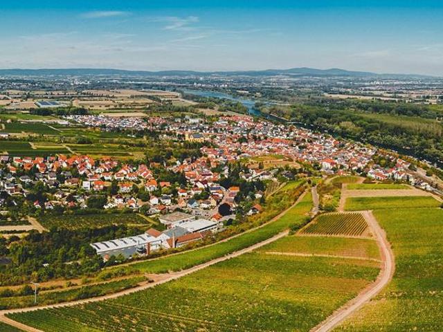 Haus kaufen in Nackenheim, Rheinland-Pfalz
