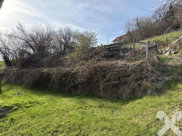 Haus kaufen in Hartberg, Steiermark