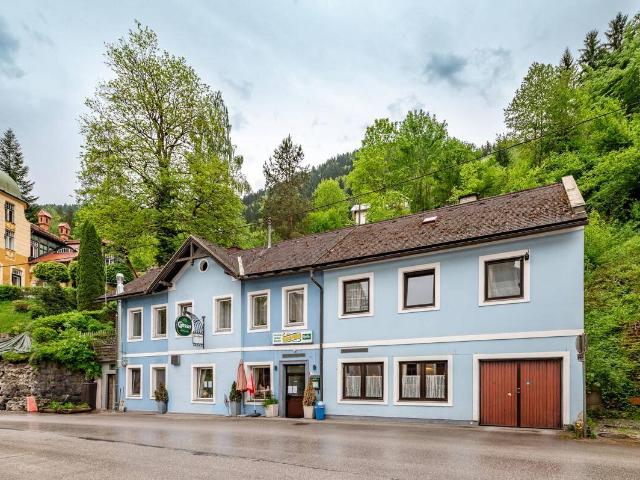 Haus kaufen in Selzthal