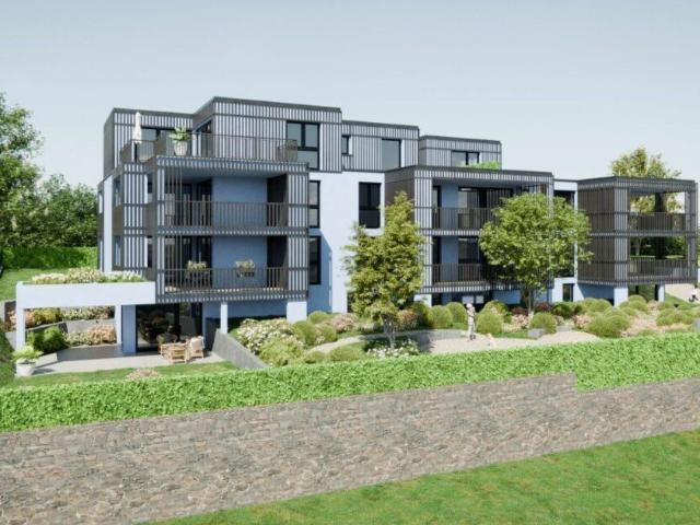 Immobilie kaufen in Villmergen, Aargau