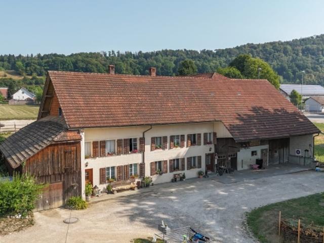 Immobilie kaufen in Boningen, Solothurn
