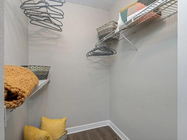 Apartment for rent in Tampa, Florida