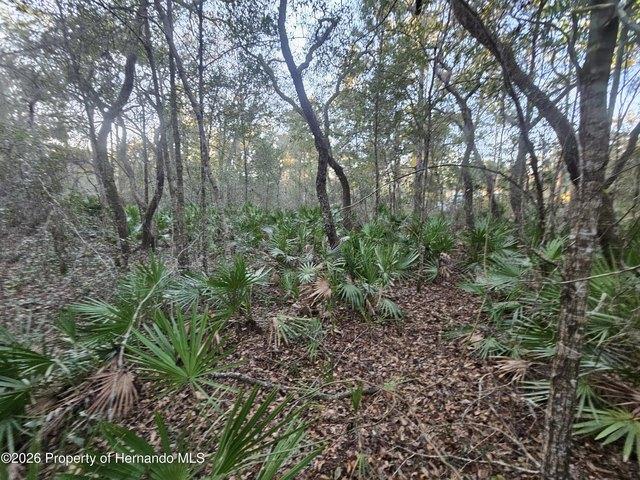 Land for sale in Webster, Florida