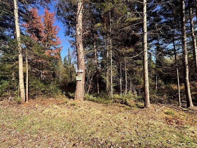 Land for sale in Island Pond, Vermont