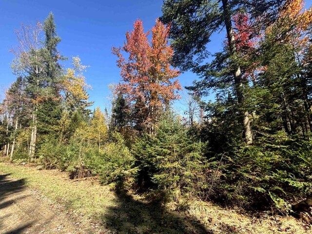 Land for sale in Island Pond, Vermont