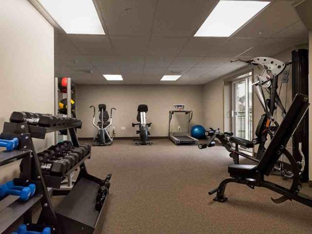 Apartment for rent in Guelph
