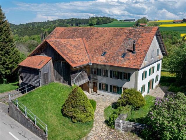 Einfamilienhaus kaufen in Moudon, Waadt
