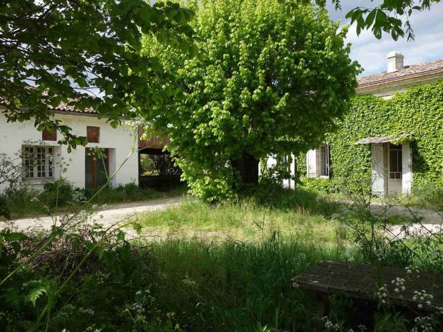 Maison vente à Blaye, Cartelègue