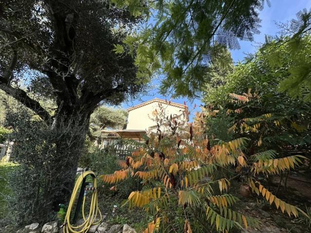 Maison vente à France métropolitaine, Roquefort-les-pins