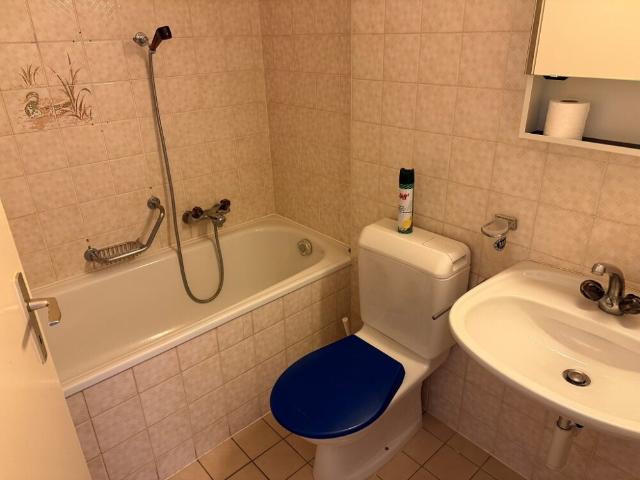 Apartment mieten in Perroy, Waadt