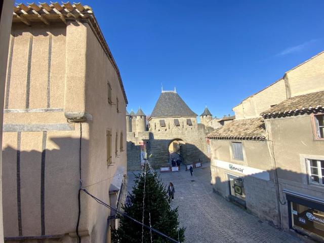 Château vente à Carcassonne, Cité Albignac