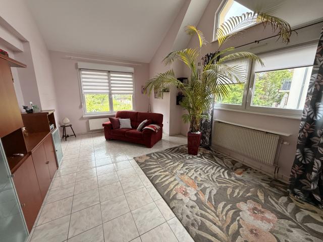 Maison vente à Colmar-Ribeauvillé, Grand Est