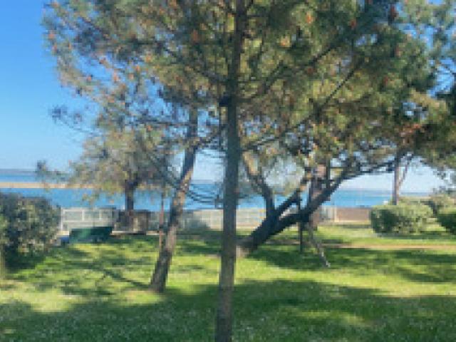 Appartement vente à Arcachon