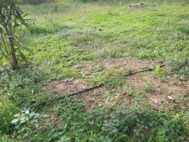 Terrain vente à France métropolitaine, Aubagne