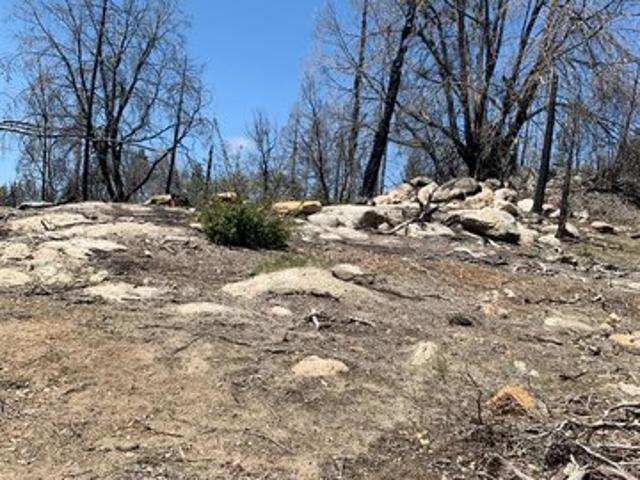 Land for sale in Auberry, California