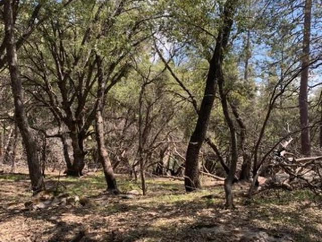 Land for sale in Auberry, California