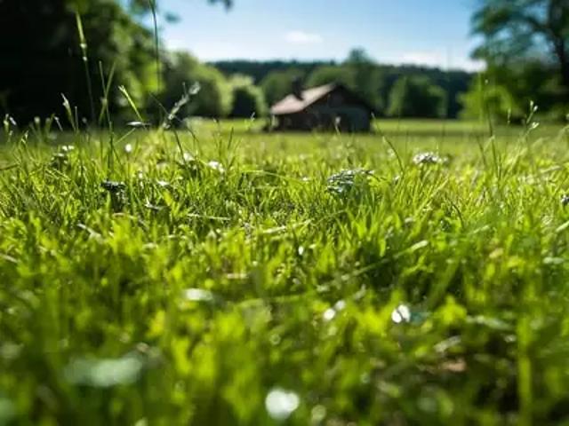 Terrain vente à La Flèche, Aubigné-racan