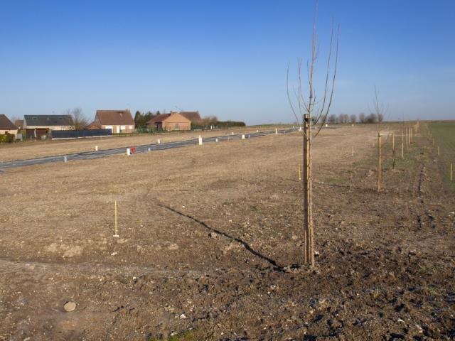 Terrain vente à Douai, Aubigny-au-bac