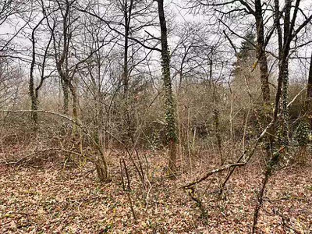 Terrain vente à Vierzon, Aubigny-sur-nère