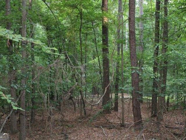 Land for sale in Auburn, Georgia