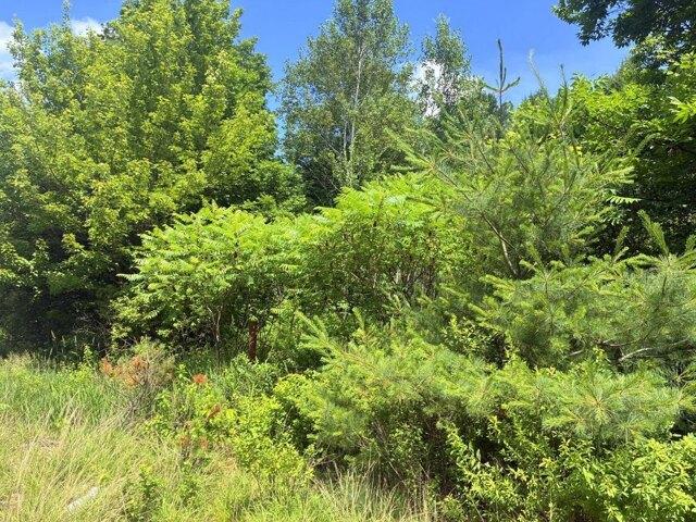 Land for sale in Peru, Maine