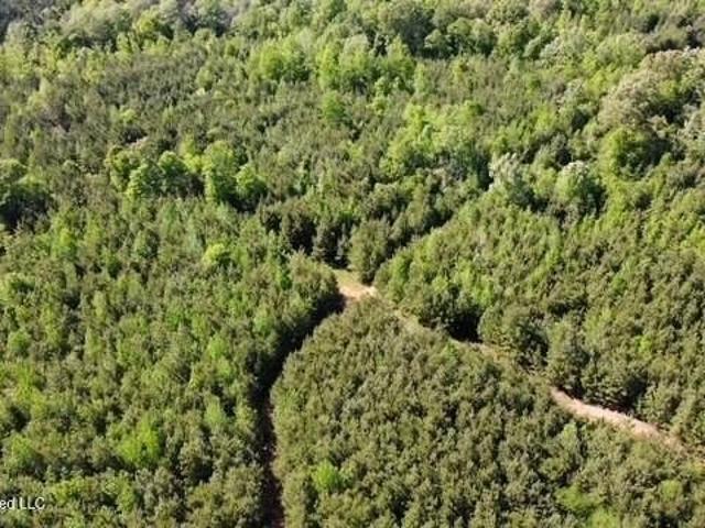 Land for sale in Mississippi