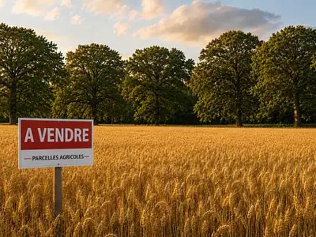 Terrain vente à Auch