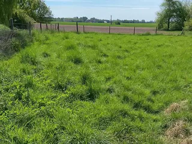 Terrain vente à Douai, Auchy-lez-orchies