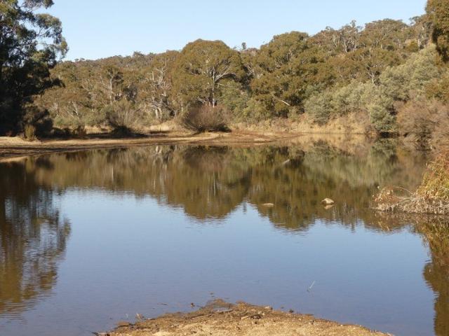 Cottage for sale in Numeralla, New South Wales