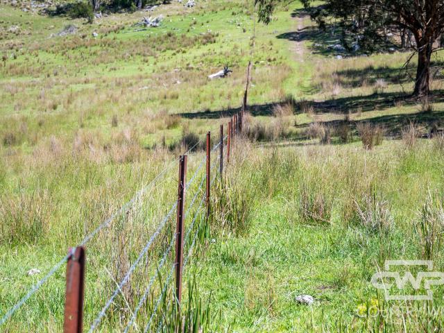 Property for sale in Deepwater, New South Wales