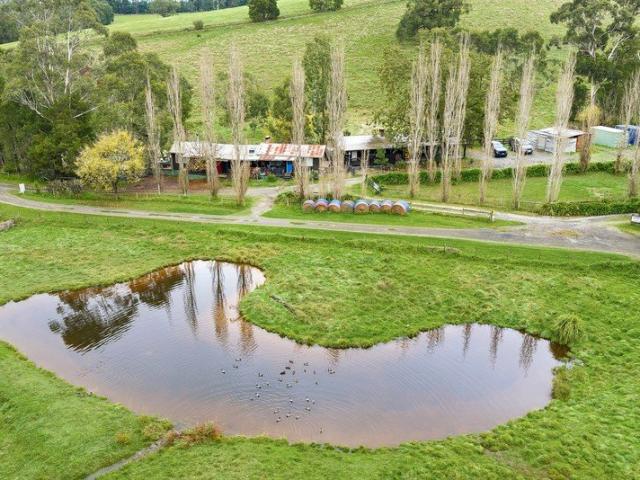 Cottage for sale in Camerons Creek, Victoria