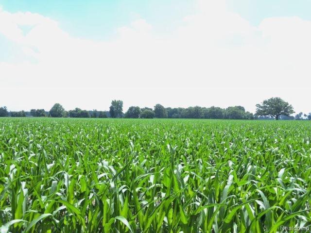 Land for sale in Michigan