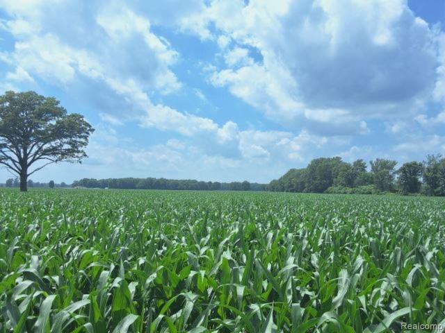 Land for sale in Capac, Michigan