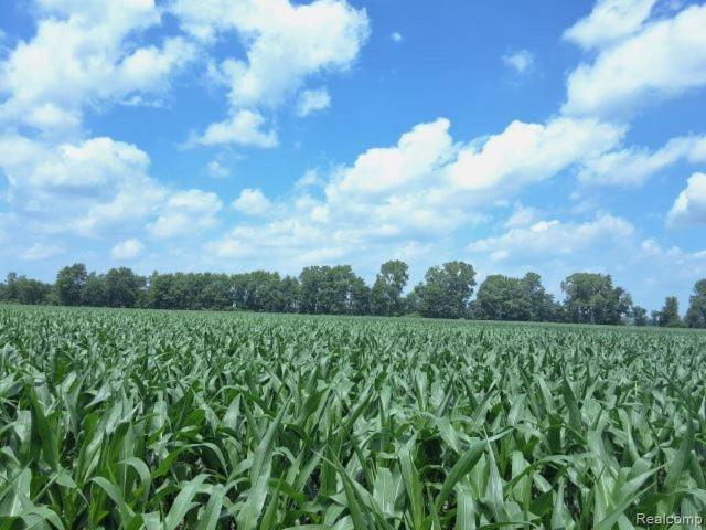 Land for sale in Capac, Michigan