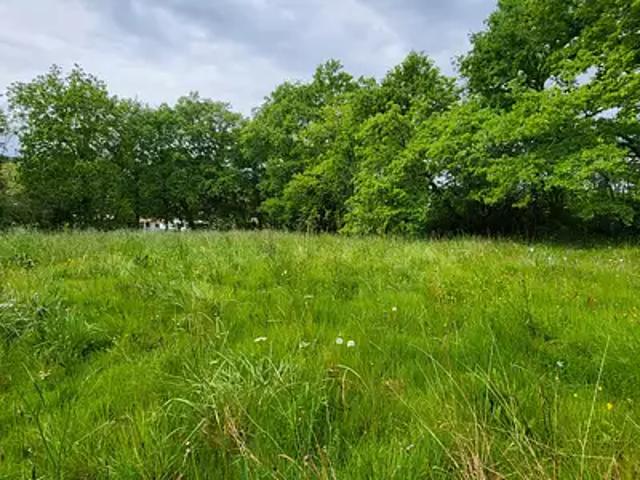 Terrain vente à Audignon, Landes
