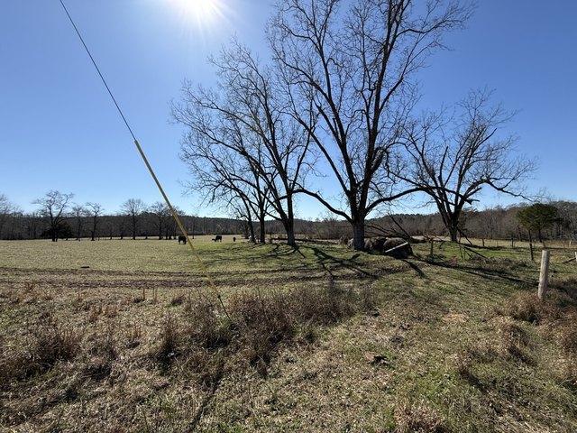 Land for sale in Gordo, Alabama