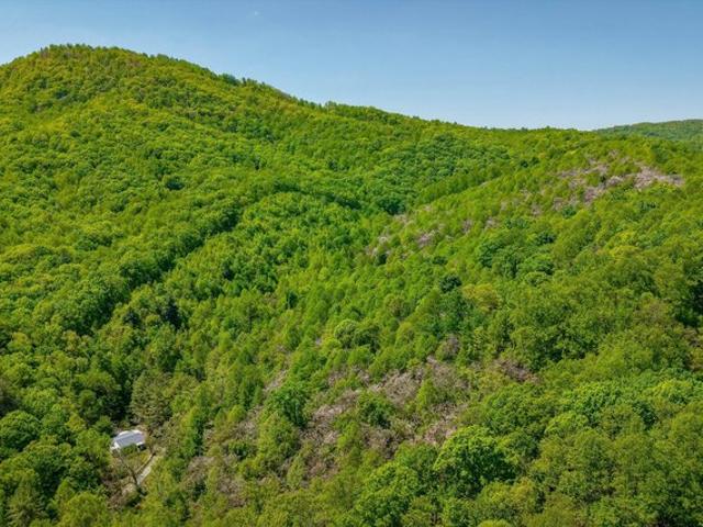 Land for sale in Blue Ridge, Botetourt County