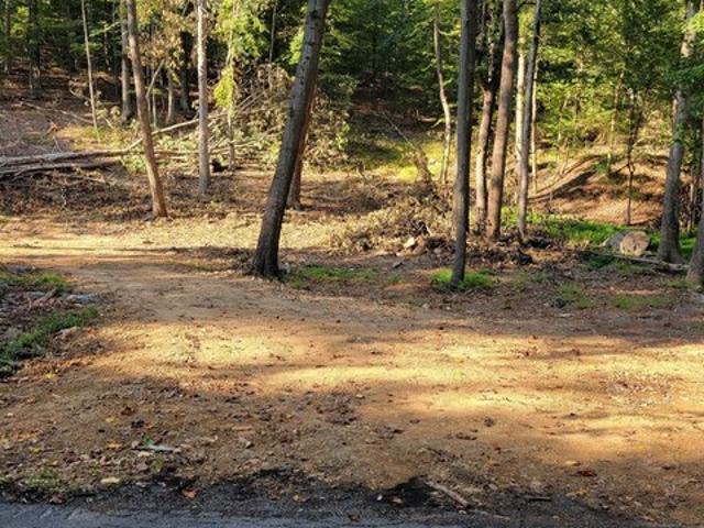 Land for sale in Hedgesville, West Virginia
