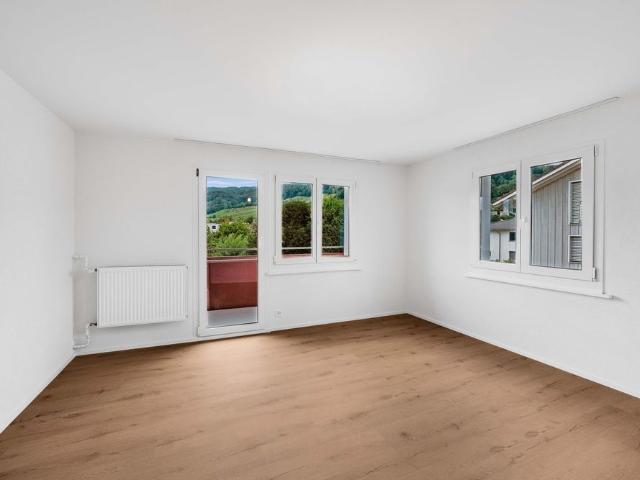 Apartment mieten in Au (SG), St. Gallen