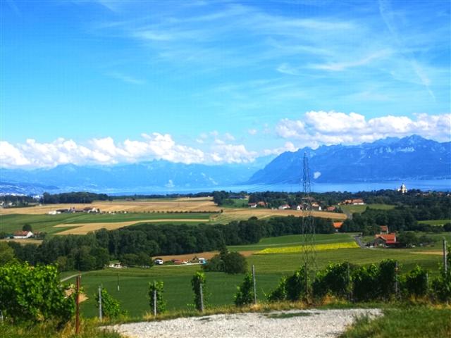 Einfamilienhaus kaufen in Morges, Waadt