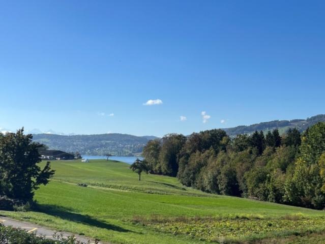 Wohnung kaufen in Tennwil, Meisterschwanden