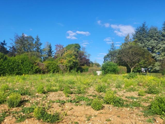 Terrain vente à Rambouillet, Auffargis